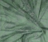 Dentelle cabaret verde claro