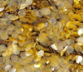 Bordado piezas metÁlicas dorado