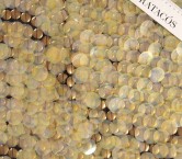 Bordado piezas metÁlicas dorado