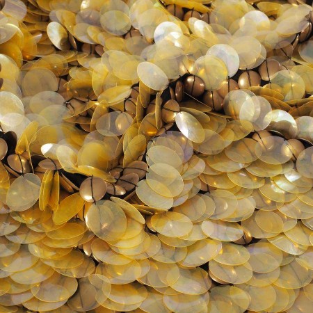 Bordado piezas metÁlicas dorado