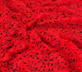 Guipur hojas rojo
