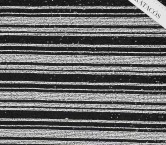 White black bicolor striped se