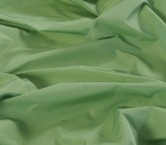 Green bristol taffeta pl grs