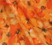 Dgn.g0977 base paolo esp. naranja