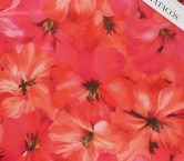 Dgn.g0977 base paolo esp. fuxia rojo