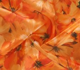 Orange dgn.g0977 base 584