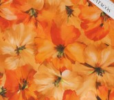 Orange dgn.g0977 base 584