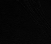 Petroleum embossed print velvet