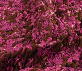 Brown pink floral quilted jacq