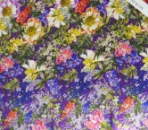Dis.g0795 raso dani  violeta rosa