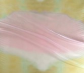 Dgn.g0985 s/54906 organza rosa verde