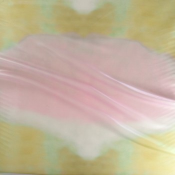 Dgn.g0985 s/54906 organza rosa verde