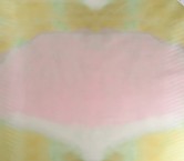 Dgn.g0985 s/54906 organza rosa verde