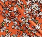 Dgn.g1058 base 584 miro naranja