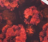 Orange dgn.g1063 base 110 maria