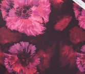 Fuxia dgn.g1063 base 110 maria