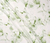 Green dis.t2410 s/102 esp.