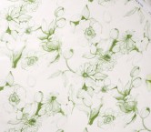 Green dis.t2410 s/102 esp.