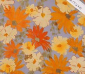 Yellow grey dis.g0248 paco