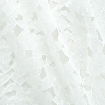 Embroidered Chiffon & Organza