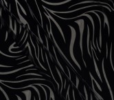 Zebra velvet devoreÉ negro