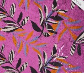 Hojas tropicales de invierno purpura