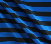 Blue black stripes mikado