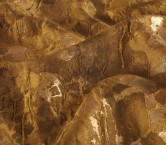 Gold organic jacquard  lam?