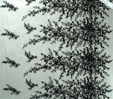 Flower border design with beads negro