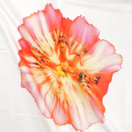 Dgn.g0849 base 584 pan.138 rosa