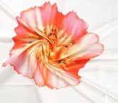 Dgn.g0849 base 584 pan.138 rosa