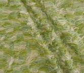 Green tulle 3d