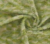 Green tulle 3d