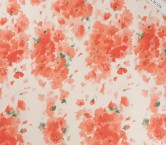 Red dgn.g1106 base paolo