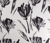 Dgn.g1153 base 584 blanco negro