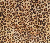 Beige dgn.c0141 base 140