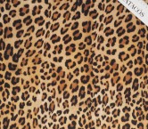 Beige dgn.c0141 base 140