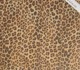 Beige dgn.c0141 base paolo