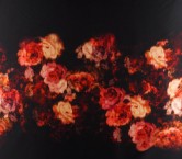 Bordeaux flower print panot 135 cm