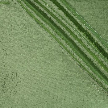 Lentejuelas compactas verde claro