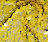 Yellow nereida sequins