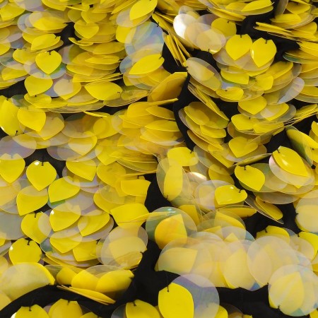 Yellow nereida sequins