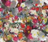 Dis.g0672 sunset multicolor